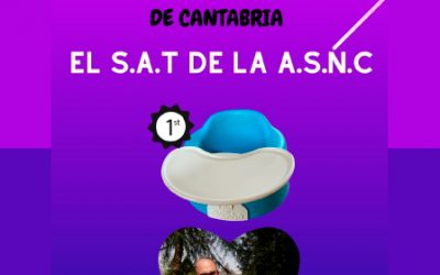 SERV. APOYO TÉCNICO (SAT)
