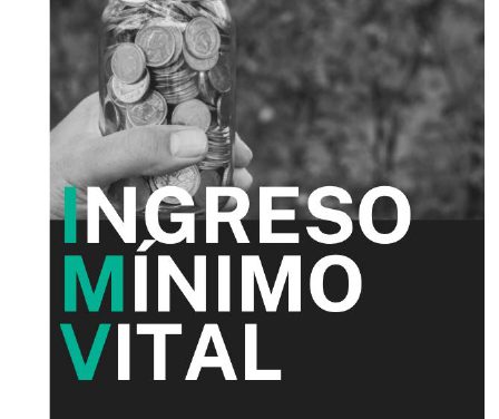 GUÍA BÁSICA INGRESO MÍNIMO VITAL